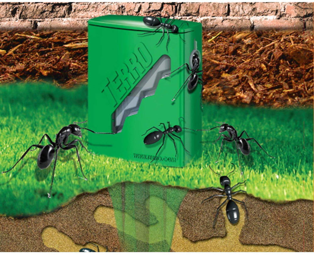 Terro Outdoor Liquid Ant Bait Stakes placed near home entrance