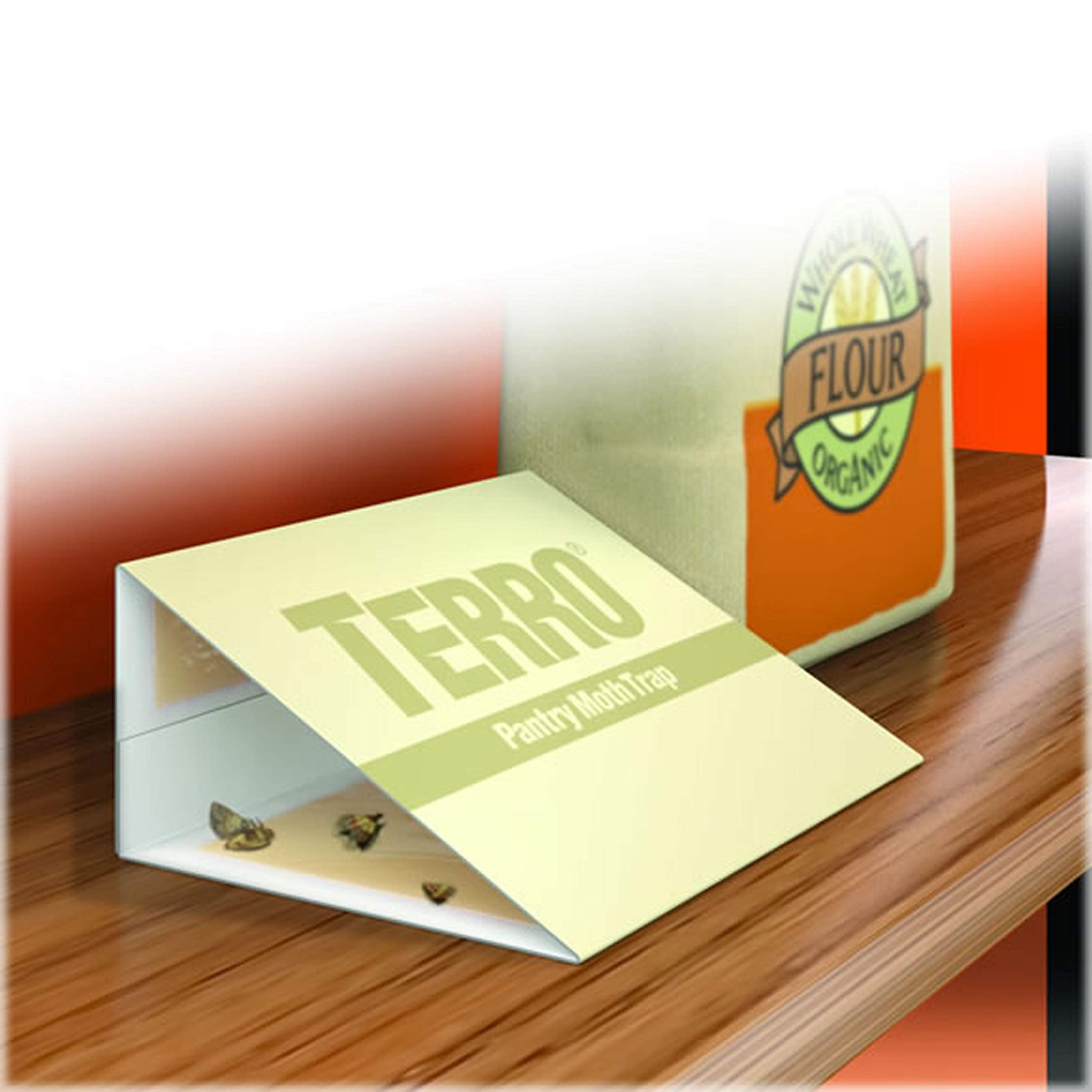 Terro Pantry Moth Trap lure installation guide