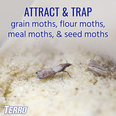 Terro Pantry Moth Trap with pheromone lure