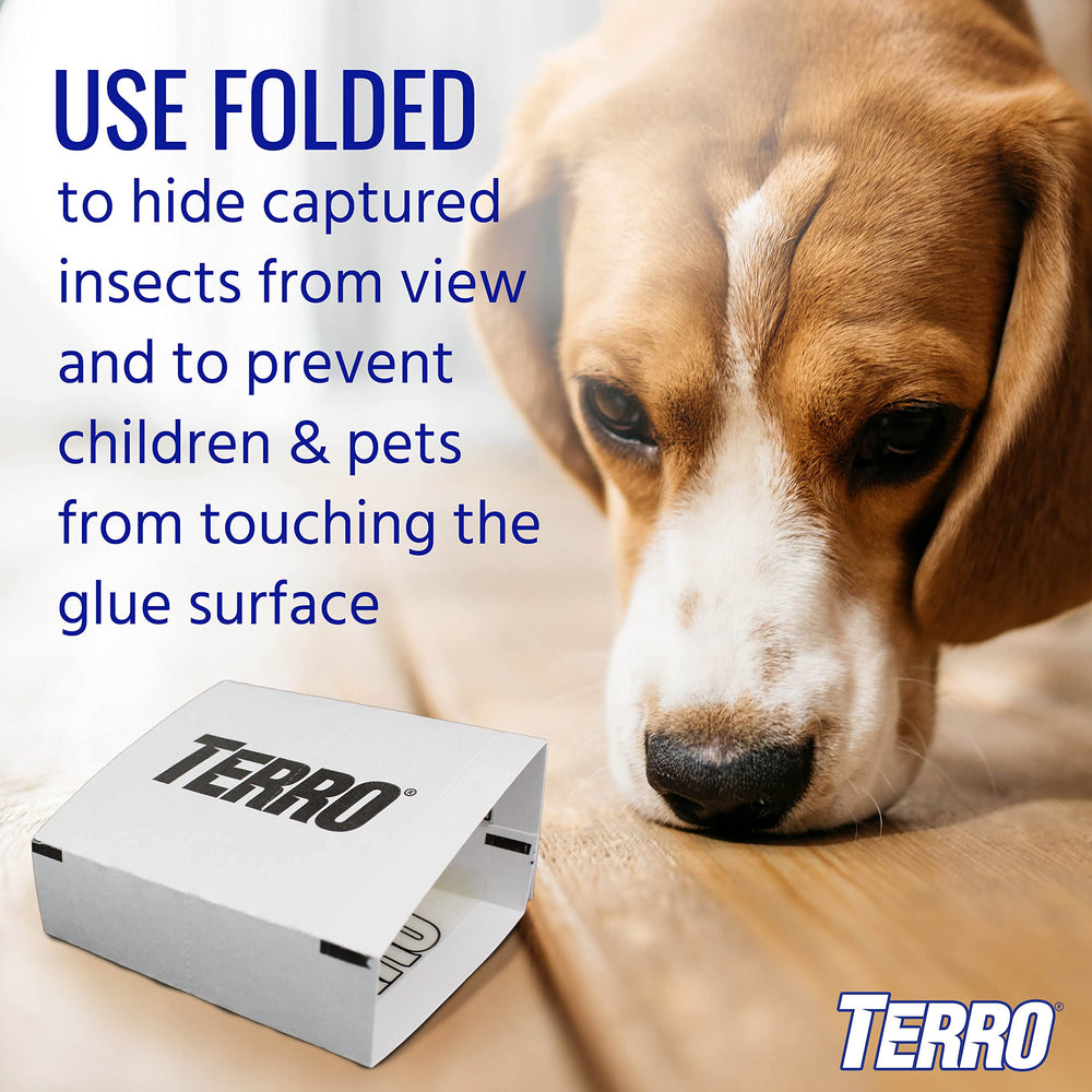 Terro Spider & Insect Trap package contents