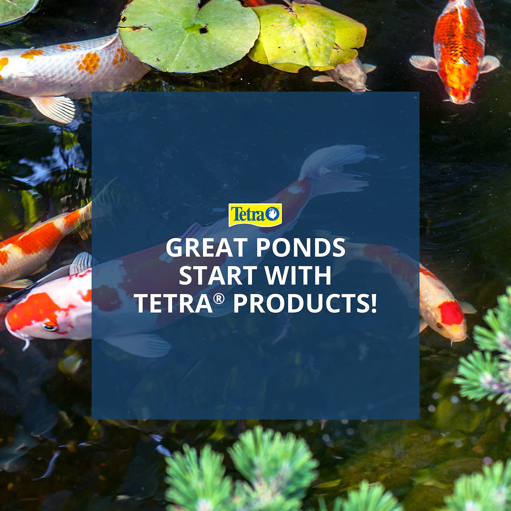 Tetra Pond De-Icer with fish swimming in pond