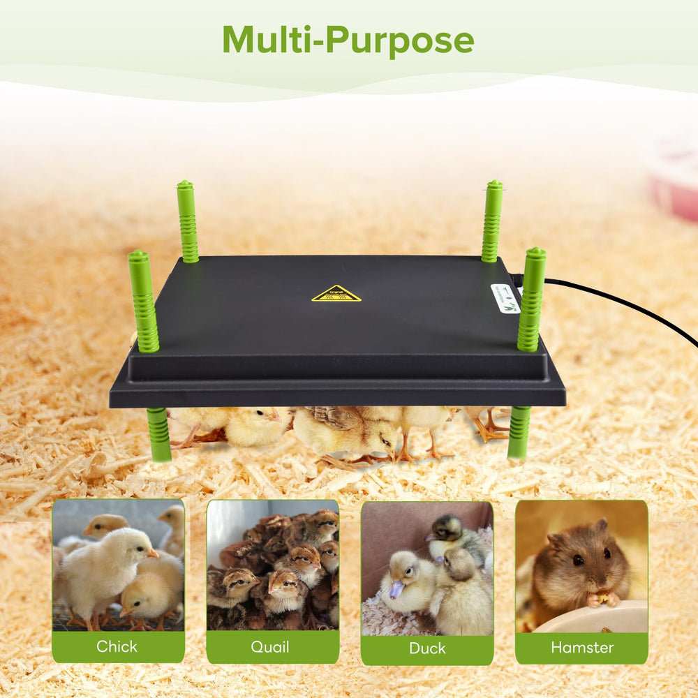Tetuga Brooder Heat Plate with chicks underneath