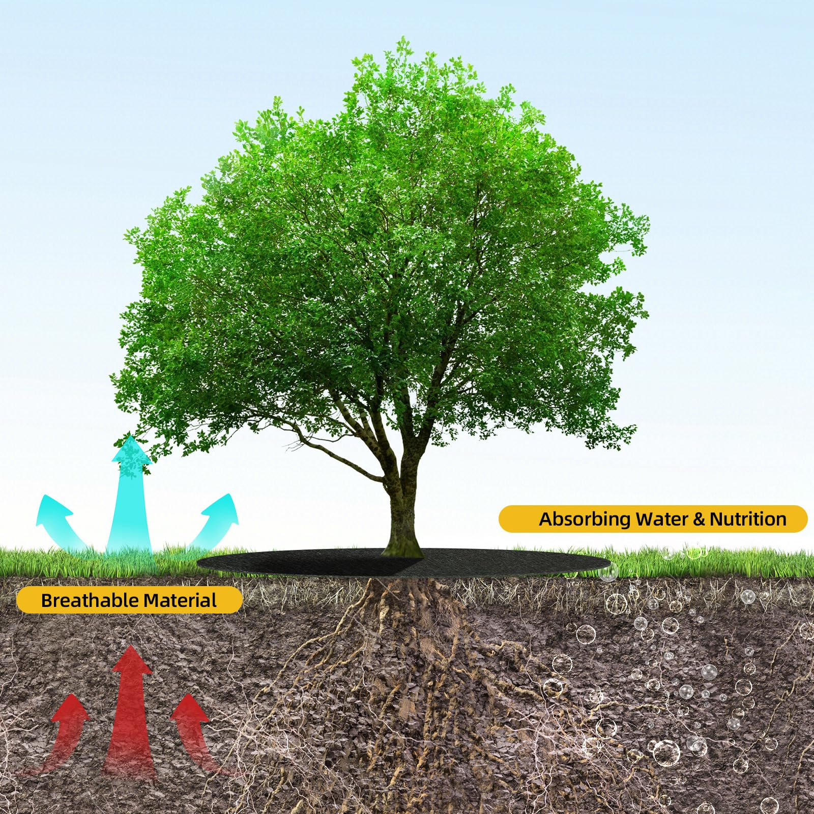 Tezhile tree rings in a garden setting