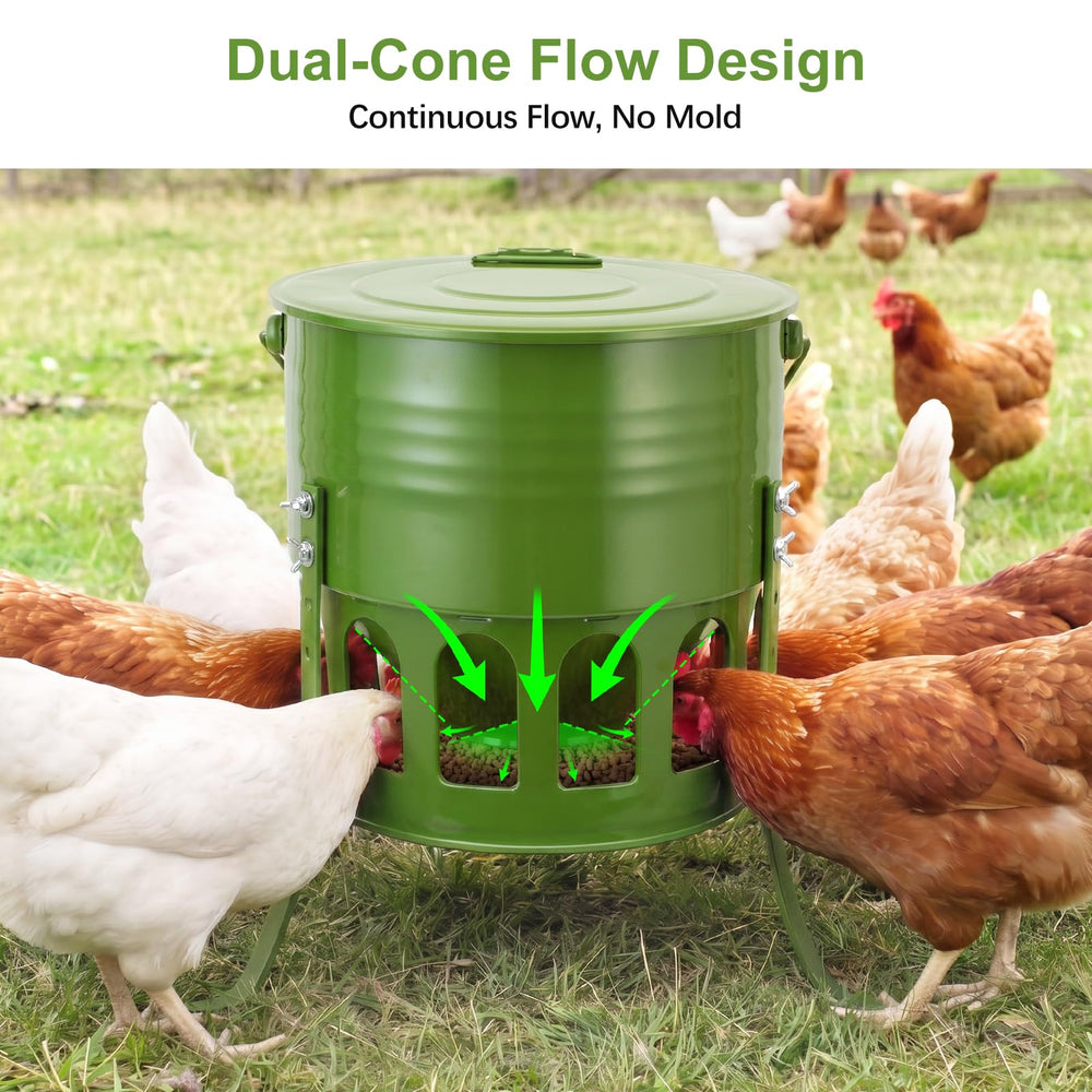 Tgeyd 20lb Chicken Feeder in outdoor setting with chickens