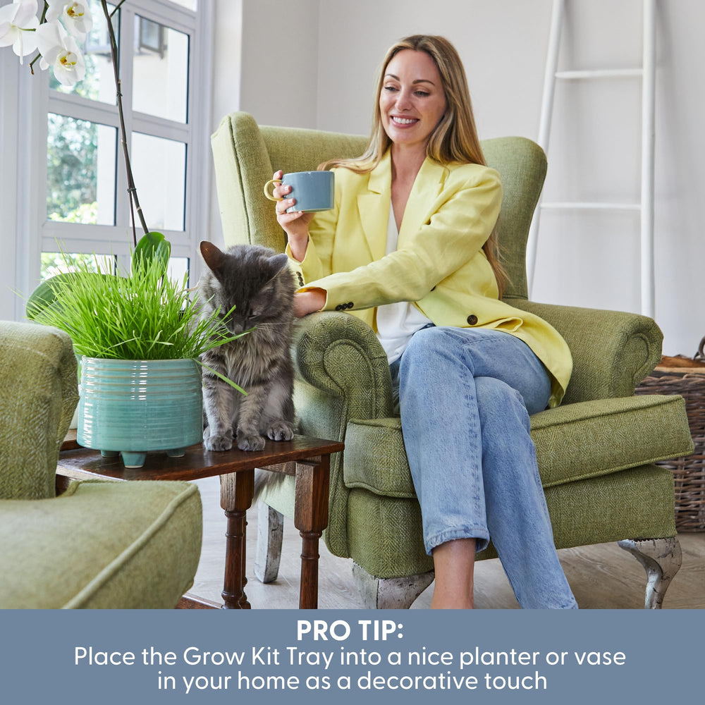 The Cat Grass Growing Kit with a cat enjoying the grass nearby