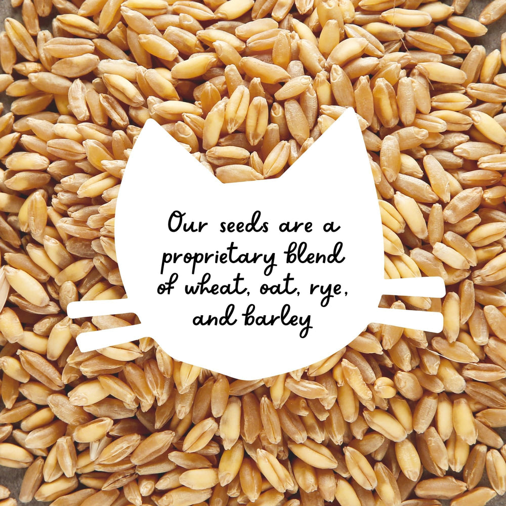 The Cat Ladies Cat Grass Seed product details and nutrients
