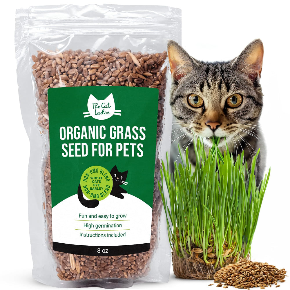The Cat Ladies Organic Cat Grass Seed 8oz front packaging view