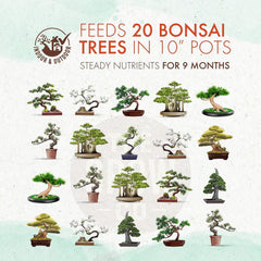 The Grow Co Bonsai Fertilizer in a pot with bonsai tree