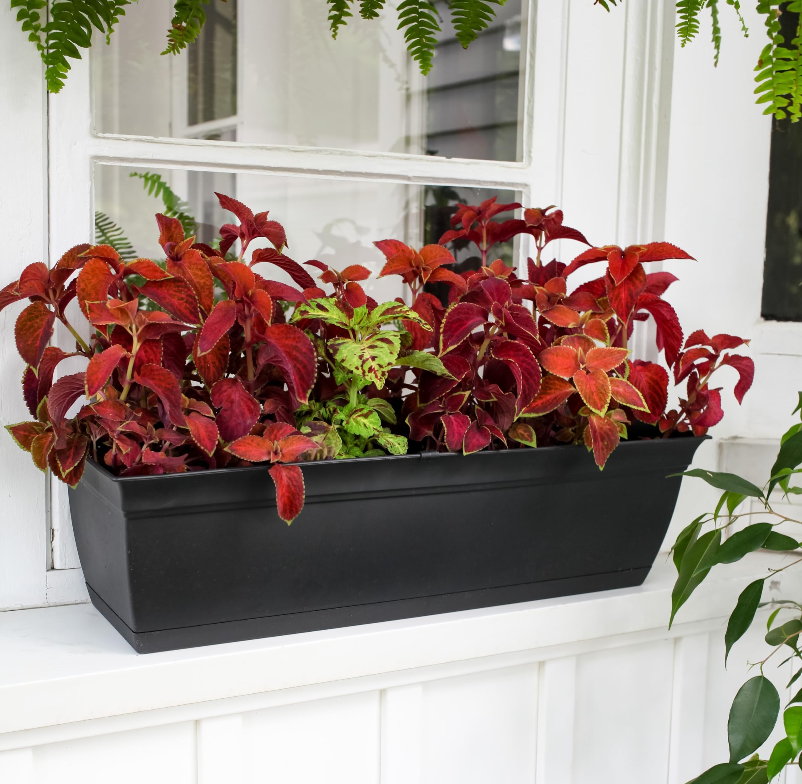The HC Companies 24-inch Eclipse Plastic Window Box in garden setting