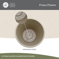 The HC Companies Prima Round Planter Pot, Sandstone, with plants