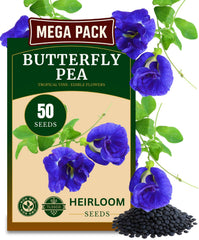 The Lucky Stars Butterfly Pea Flower Seeds pack front view