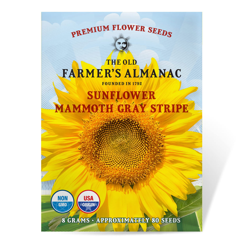 The Old Farmer's Almanac Mammoth Sunflower Seeds packet front view