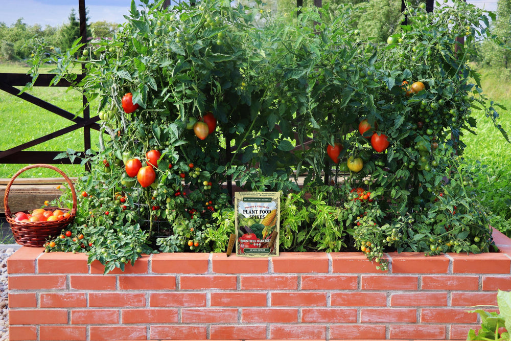 The Old Farmer's Almanac Mini Spikes being applied to a plant