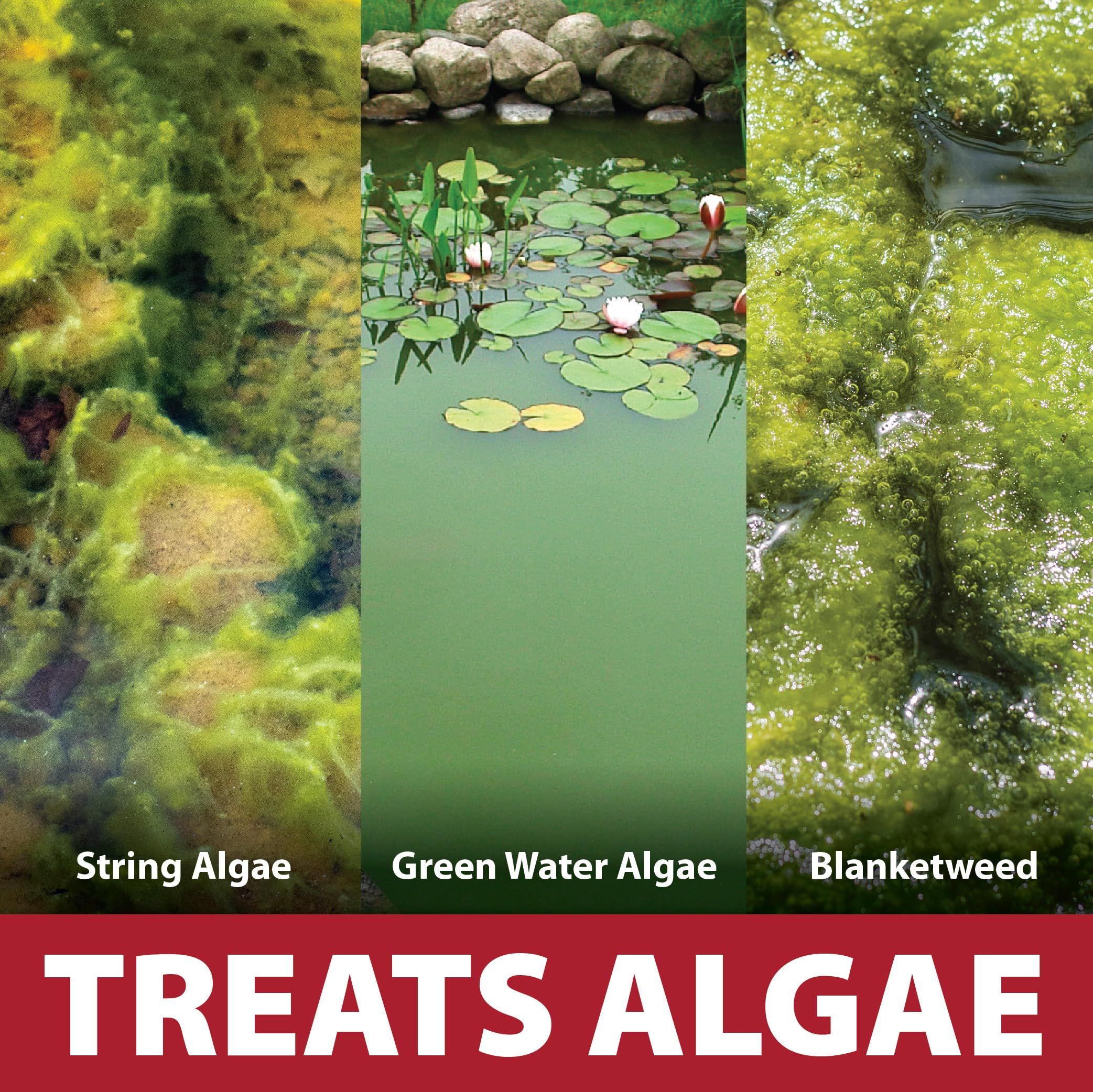 The Pond Guy InstaFix Algaecide in a garden setting