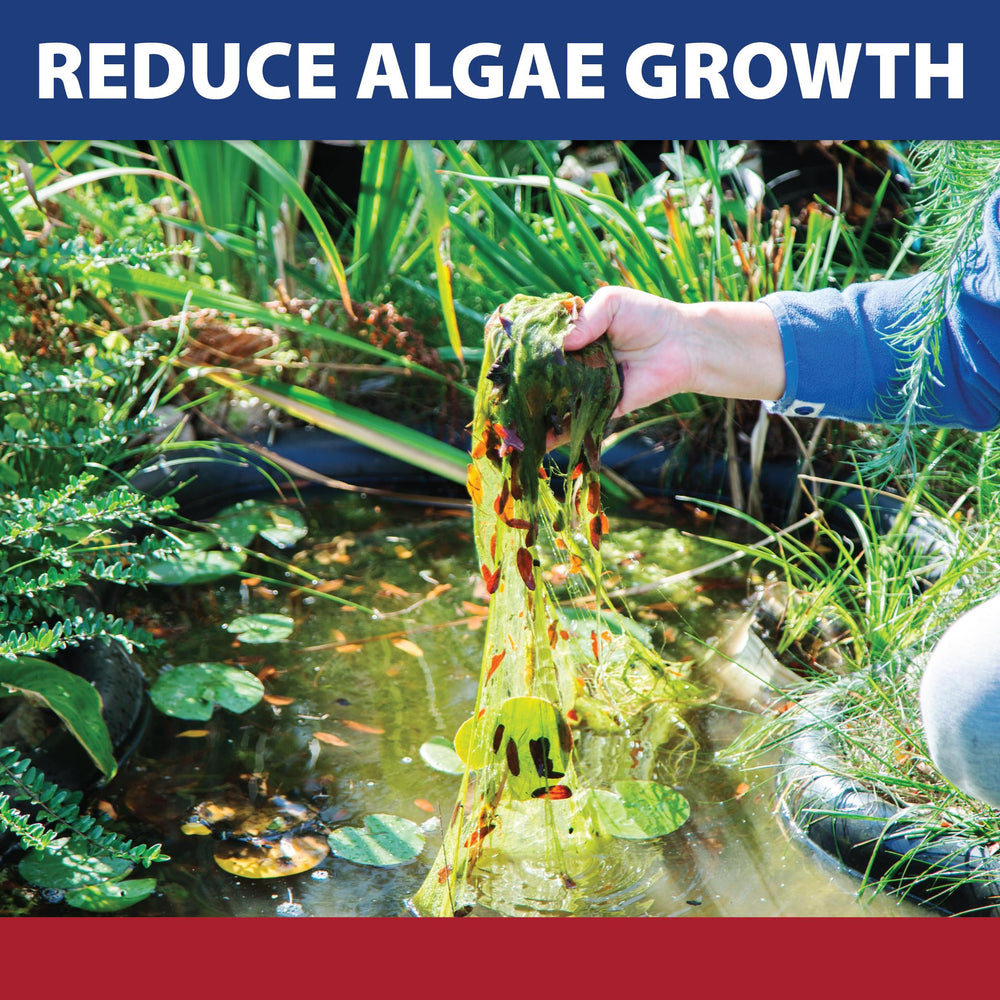 The Pond Guy InstaFix Algaecide pouring solution around pond
