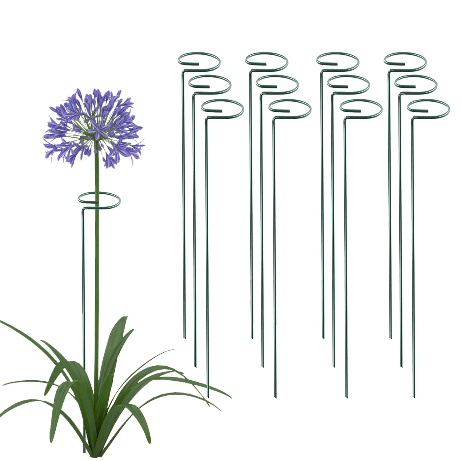 Thealyn 24 Inch Plant Support Stakes green colour front view