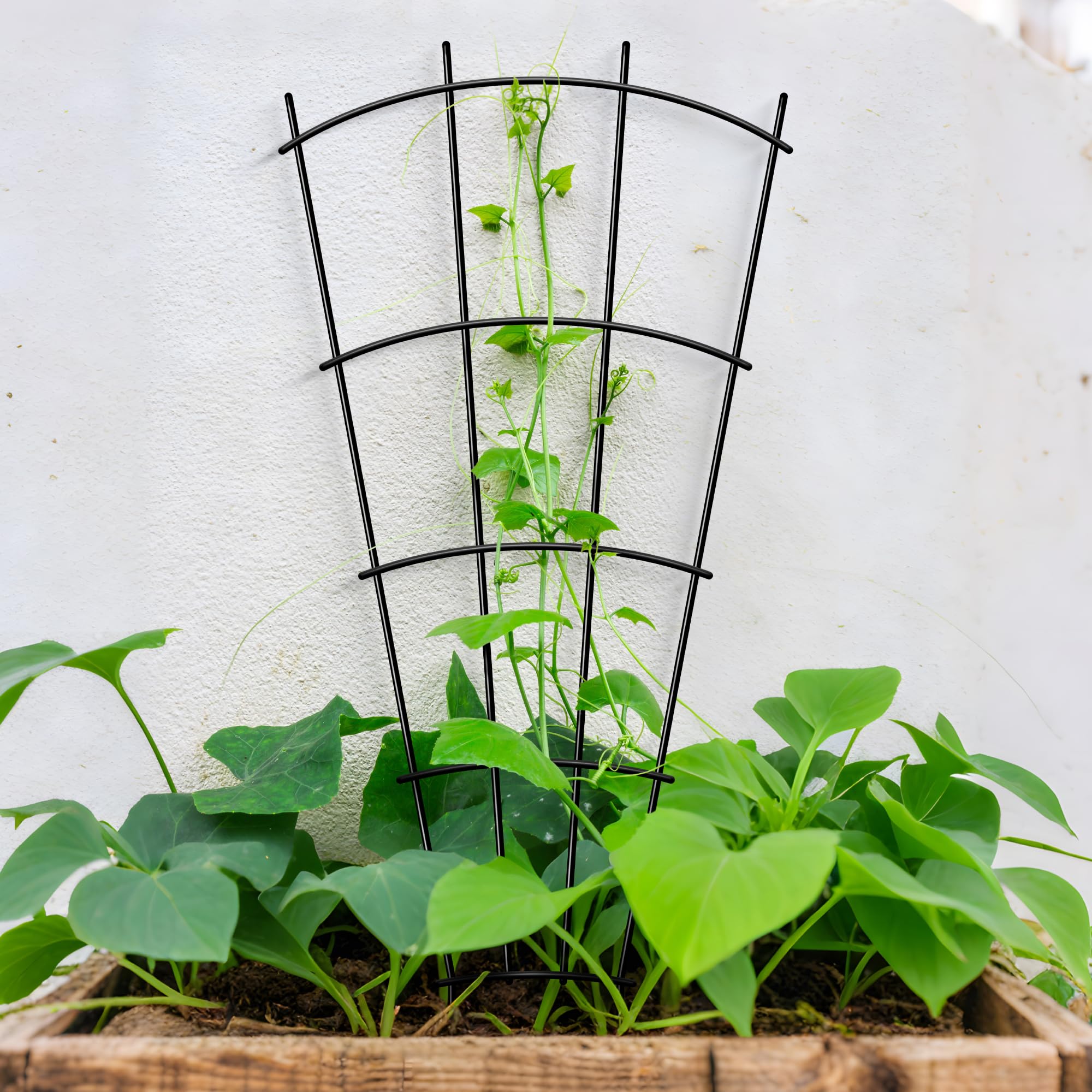 Thealyn 32" metal plant trellis holding climbing plants