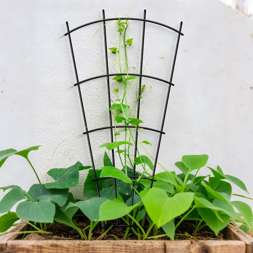 Thealyn 32" metal plant trellis holding climbing plants
