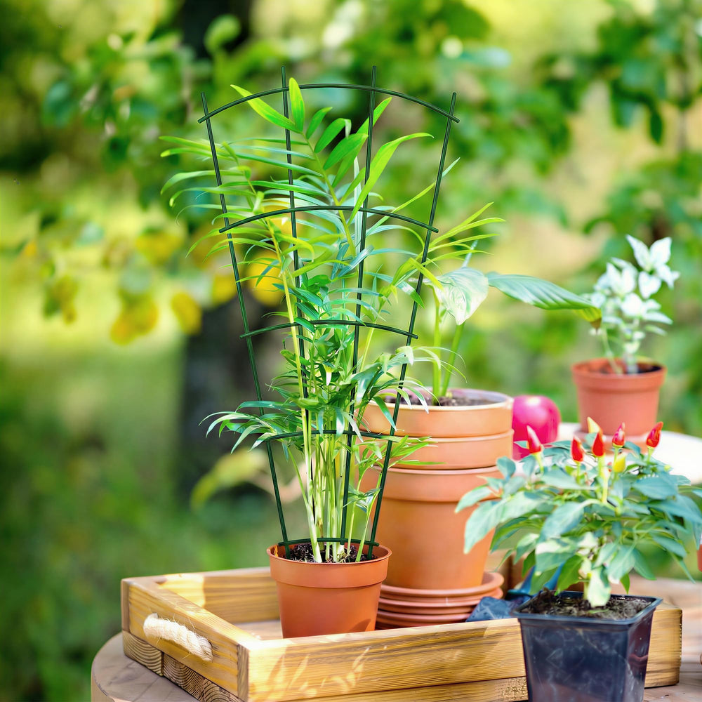 Thealyn 32" Metal Plant Trellis in use with potted plants