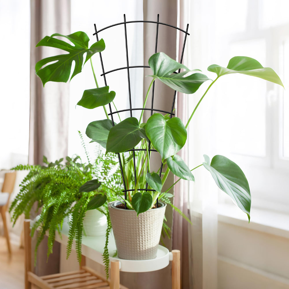 Thealyn 32" metal plant trellis packaging front view