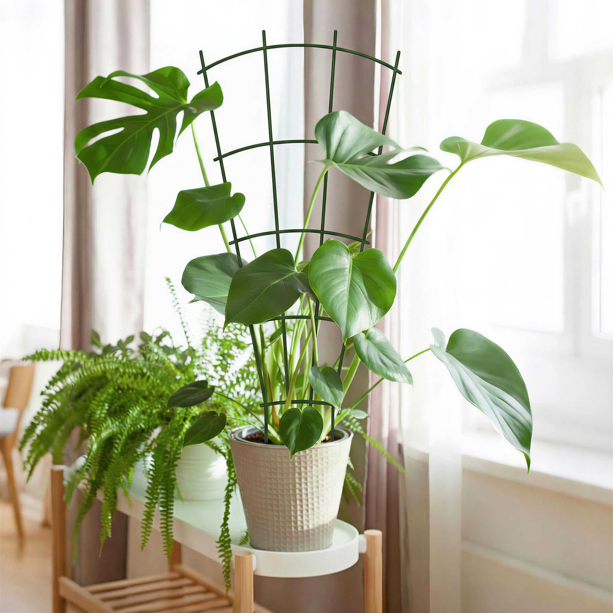 Thealyn metal plant trellis pack of 4 displayed in packaging