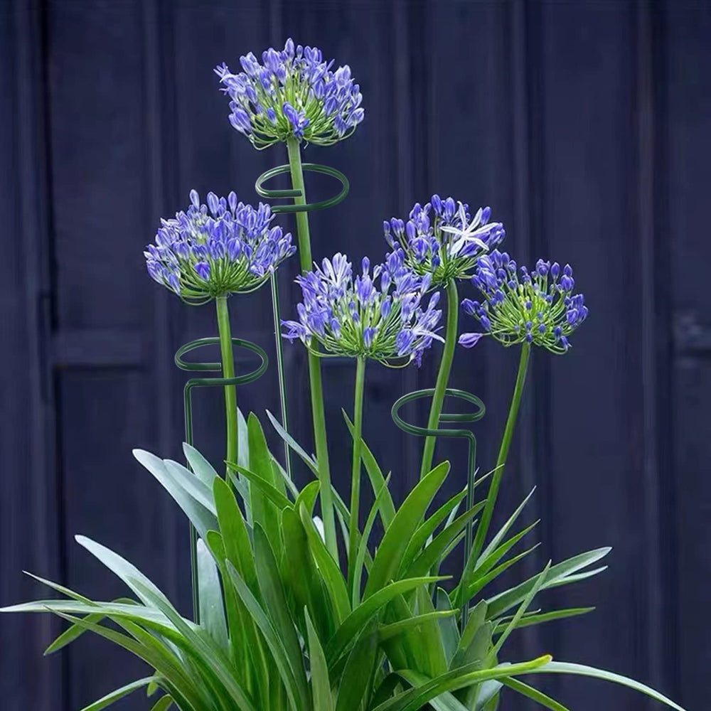 Thealyn plant support stakes in outdoor setting