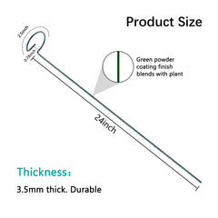 Thealyn plant support stakes installed in garden