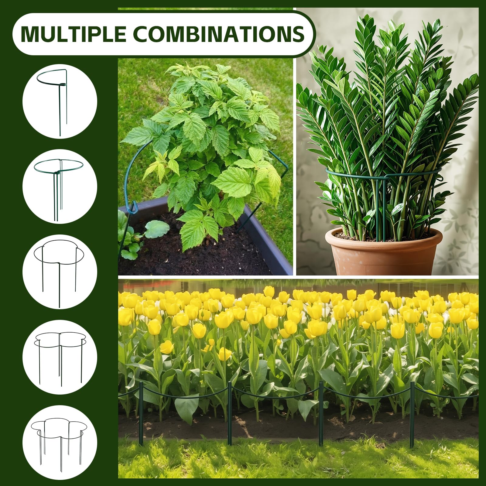 Thealyn plant support stakes used around peony plants in a garden