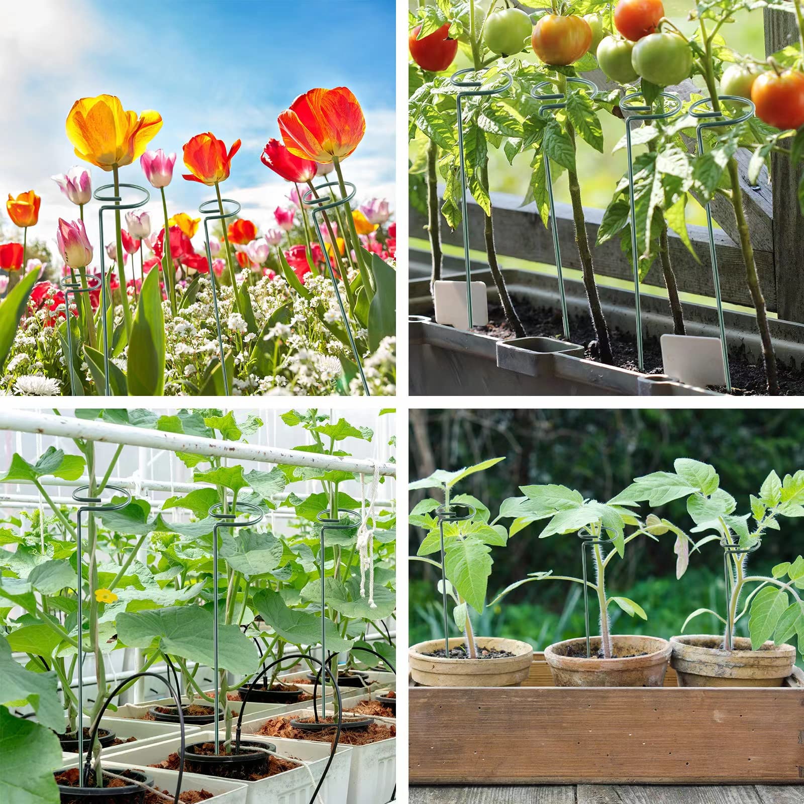 Thealyn plant support stakes with various flowers