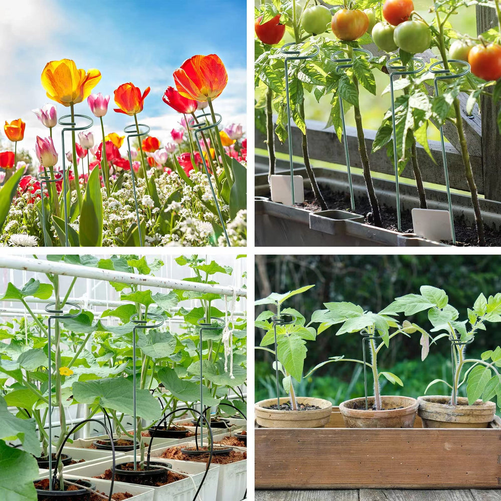 Thealyn plant support stakes with various flowers