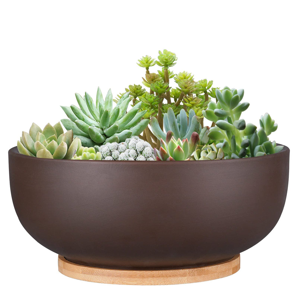 Thirtypot 10 Inch Terracotta Planter front view with bamboo saucer