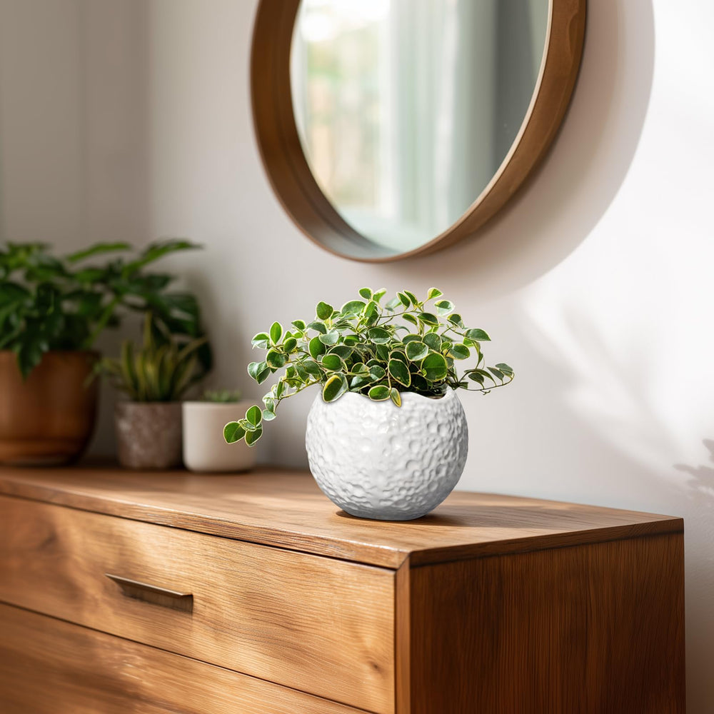 Thirtypot 4 Inch Ceramic Plant Pot in a garden setting