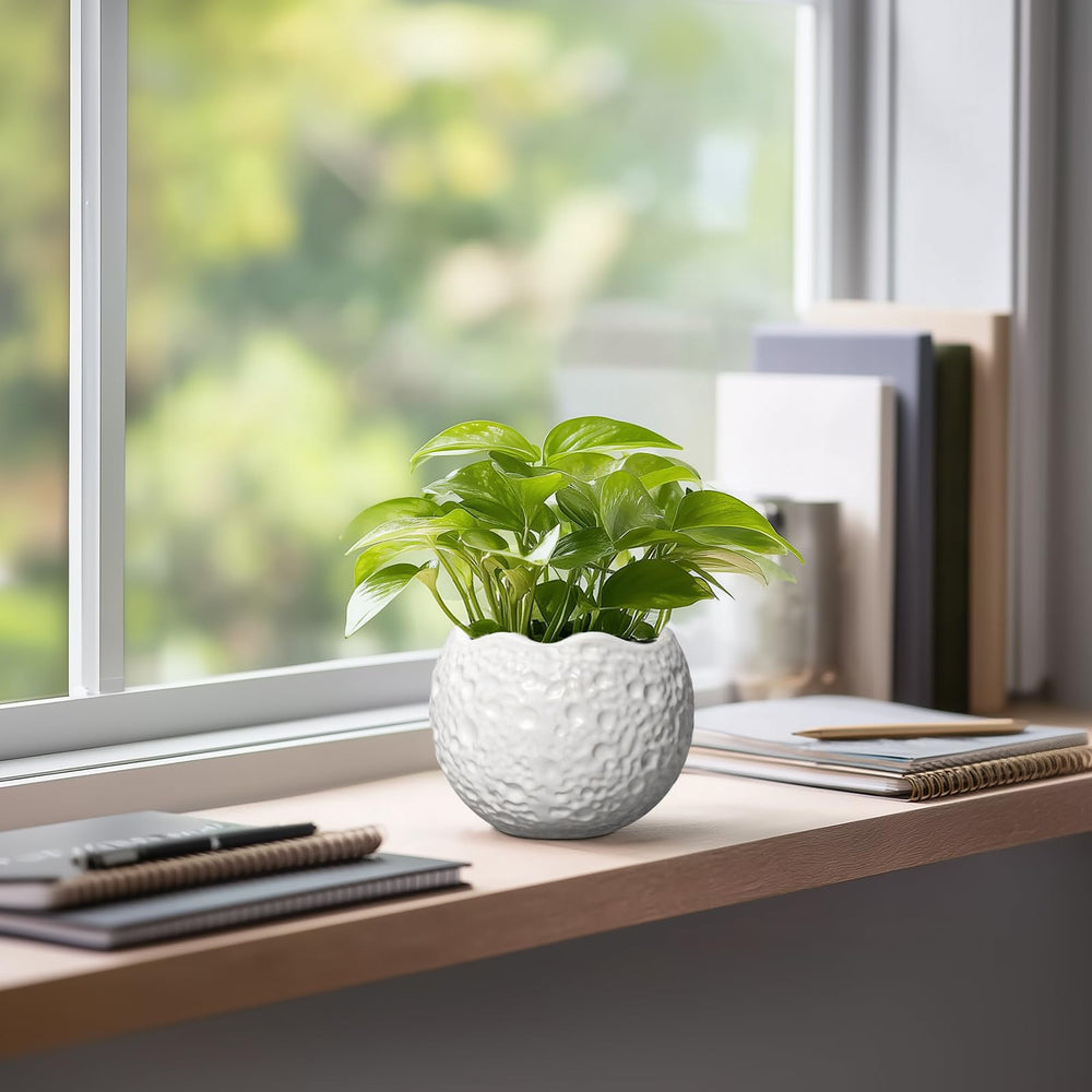 Thirtypot 4 Inch Ceramic Plant Pot with plant pot feet pads