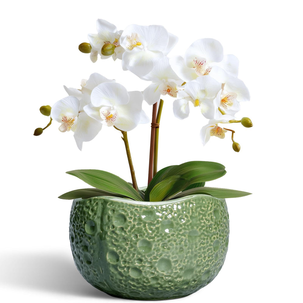 Thirtypot 6 Inch Ceramic Plant Pot Green front view