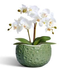 Thirtypot 6 Inch Ceramic Plant Pot Green front view