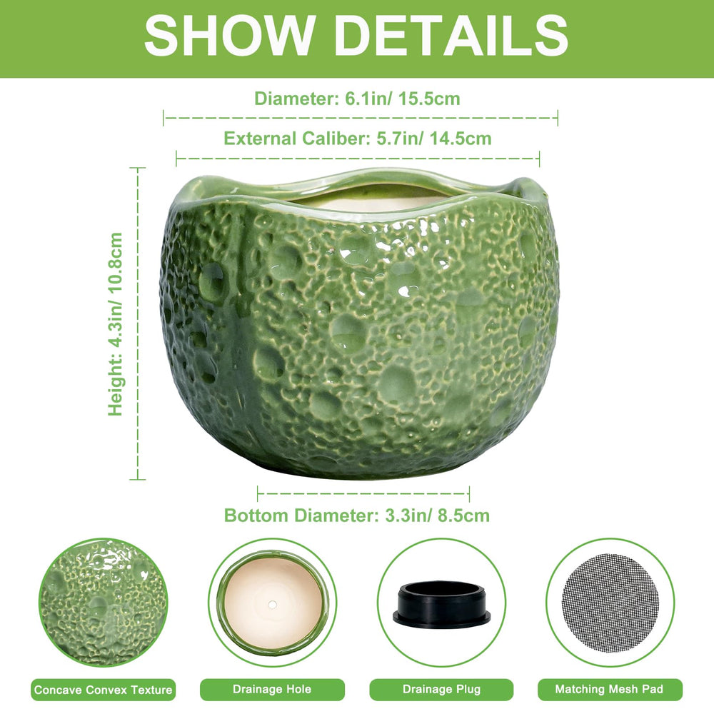 Thirtypot 6 Inch Ceramic Pot with Drainage Hole