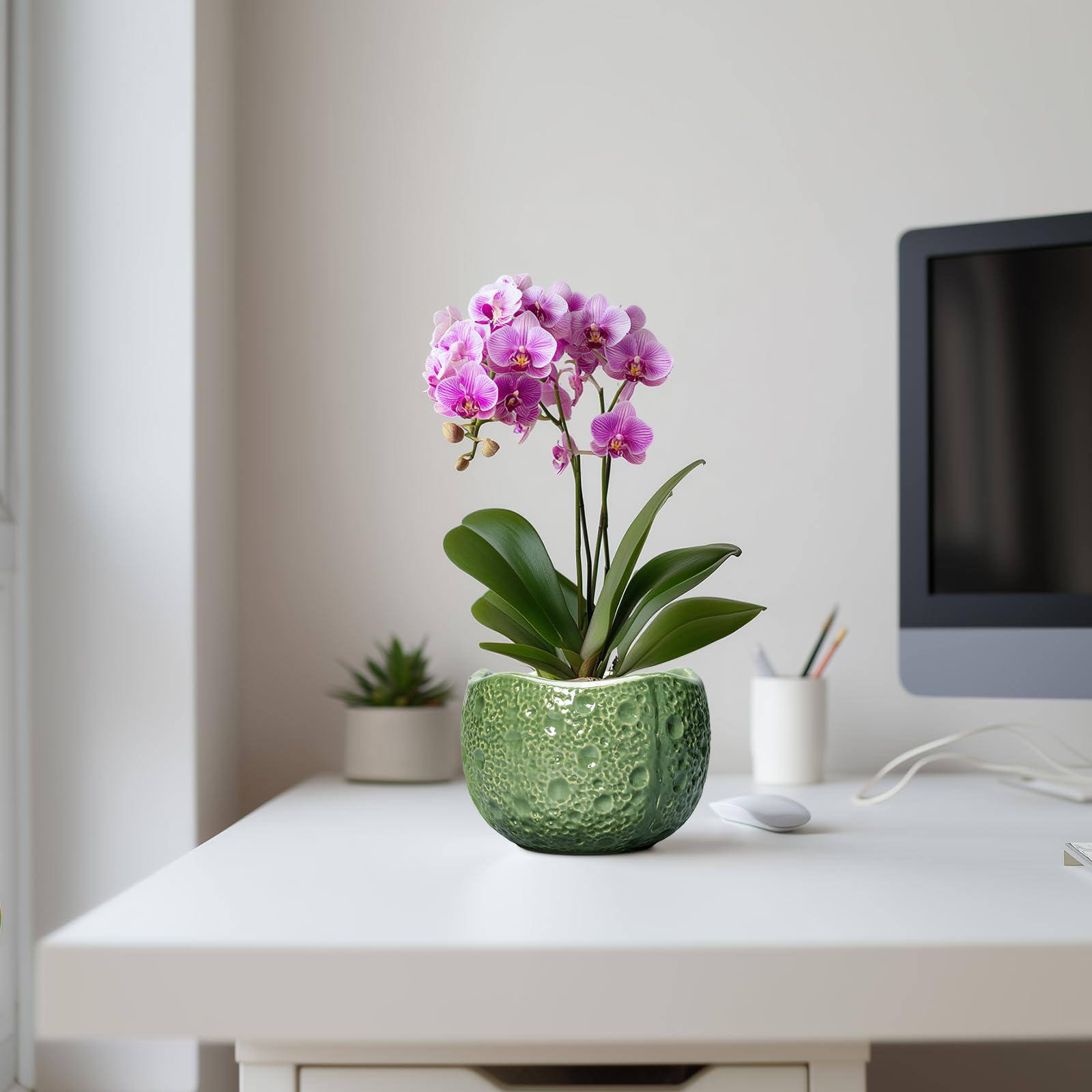 Thirtypot 6 Inch Plant Pot with Concave Texture