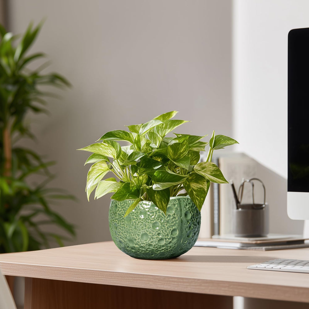 Thirtypot Green Plant Pot with Feet Pads