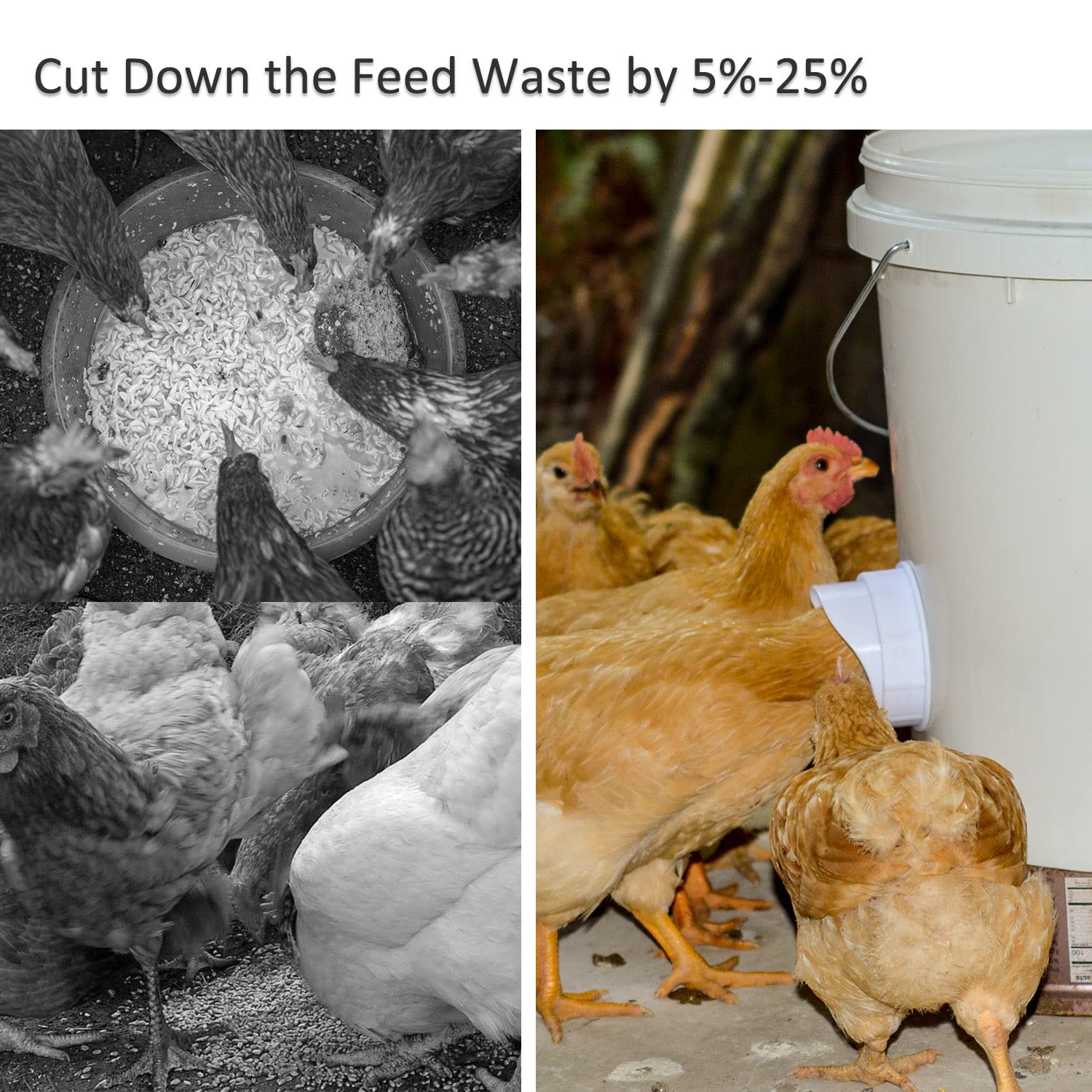 Three chicken water cups included in the feeder set