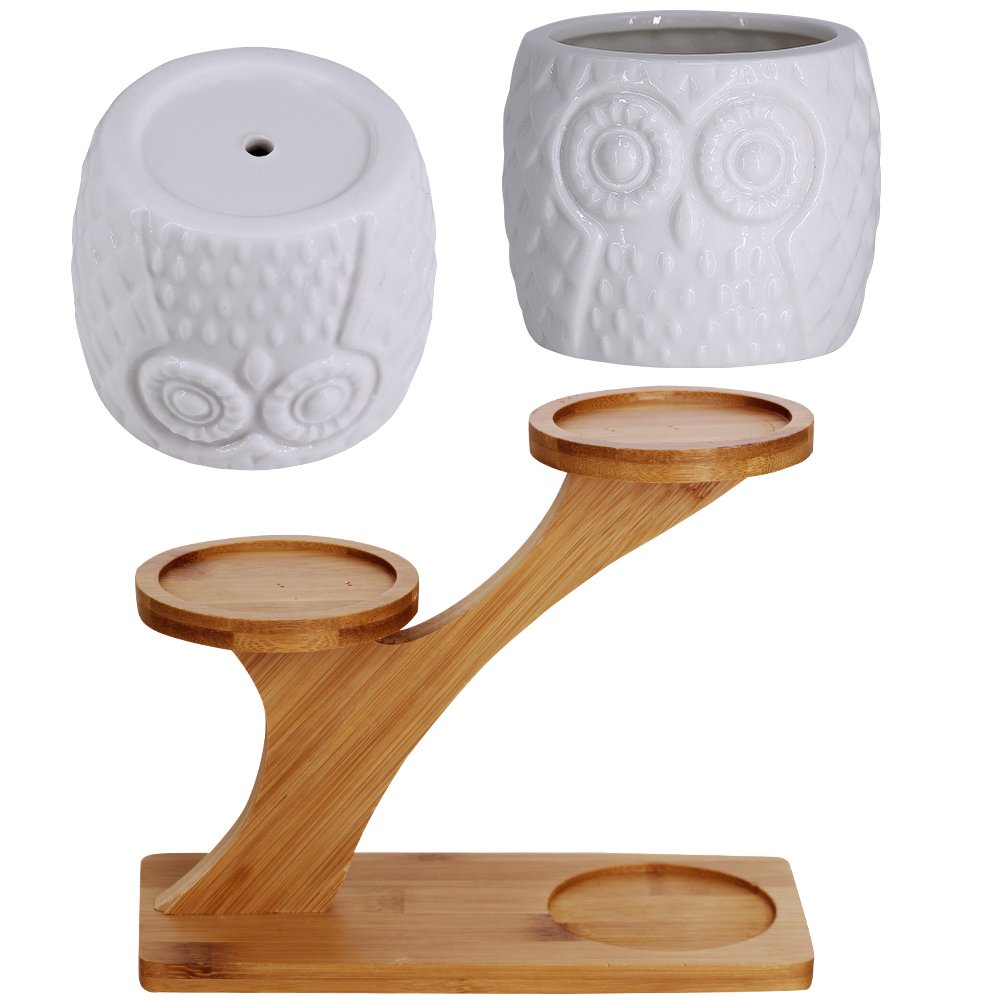 Three owl pots on bamboo stand in living room