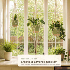 Three sizes of Bouqlife self-watering pots in a row