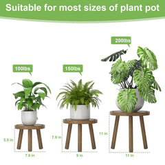 Three Vecxoty Plant Stands of different heights