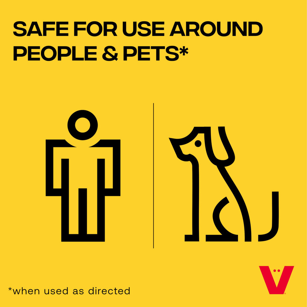 Three Victor Catch & Hold Mouse Traps in packaging