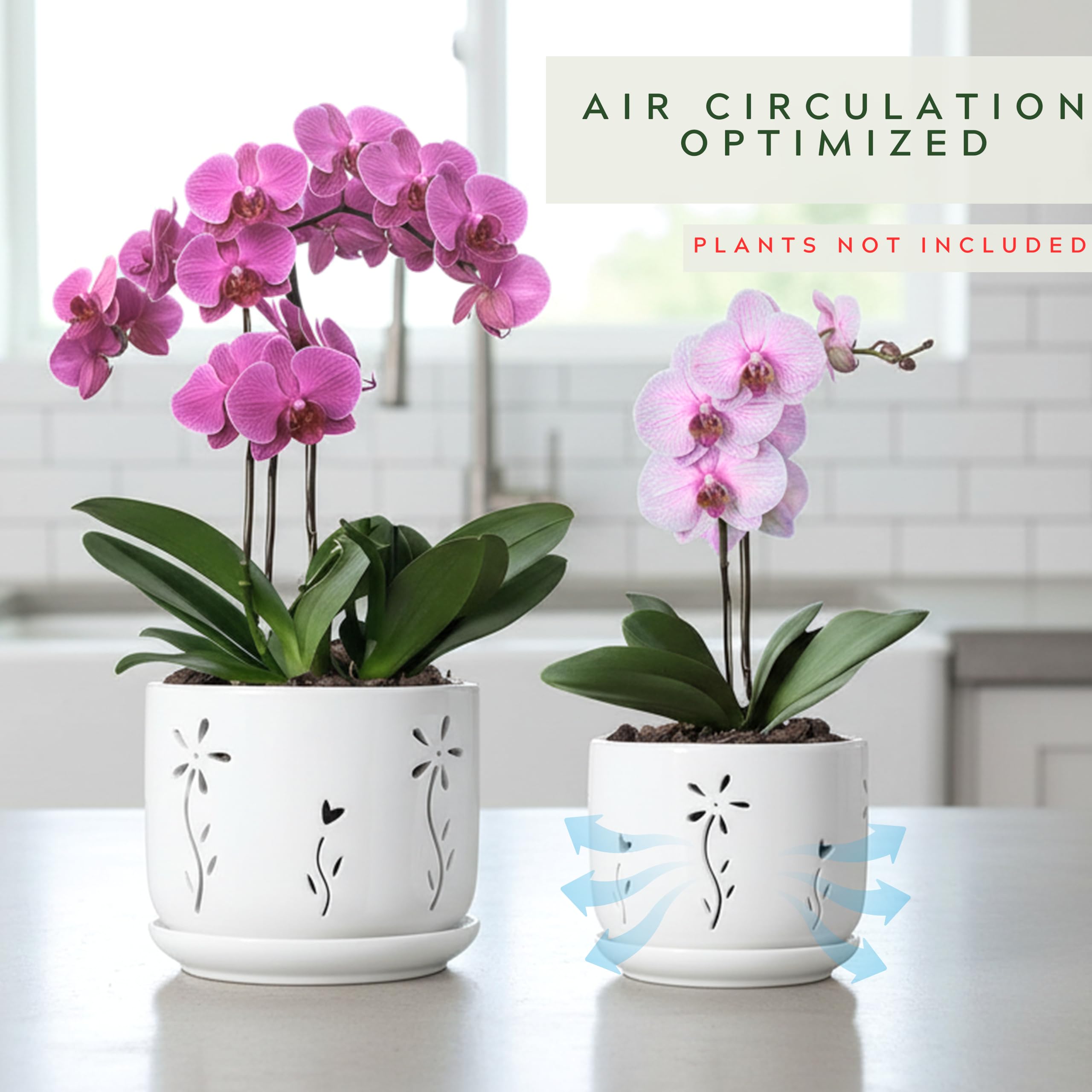 Thriving Thicket 6-inch white ceramic orchid pot with saucer