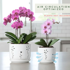 Thriving Thicket 6-inch white ceramic orchid pot with saucer