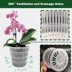 Tialero clear orchid pot with an orchid plant inside