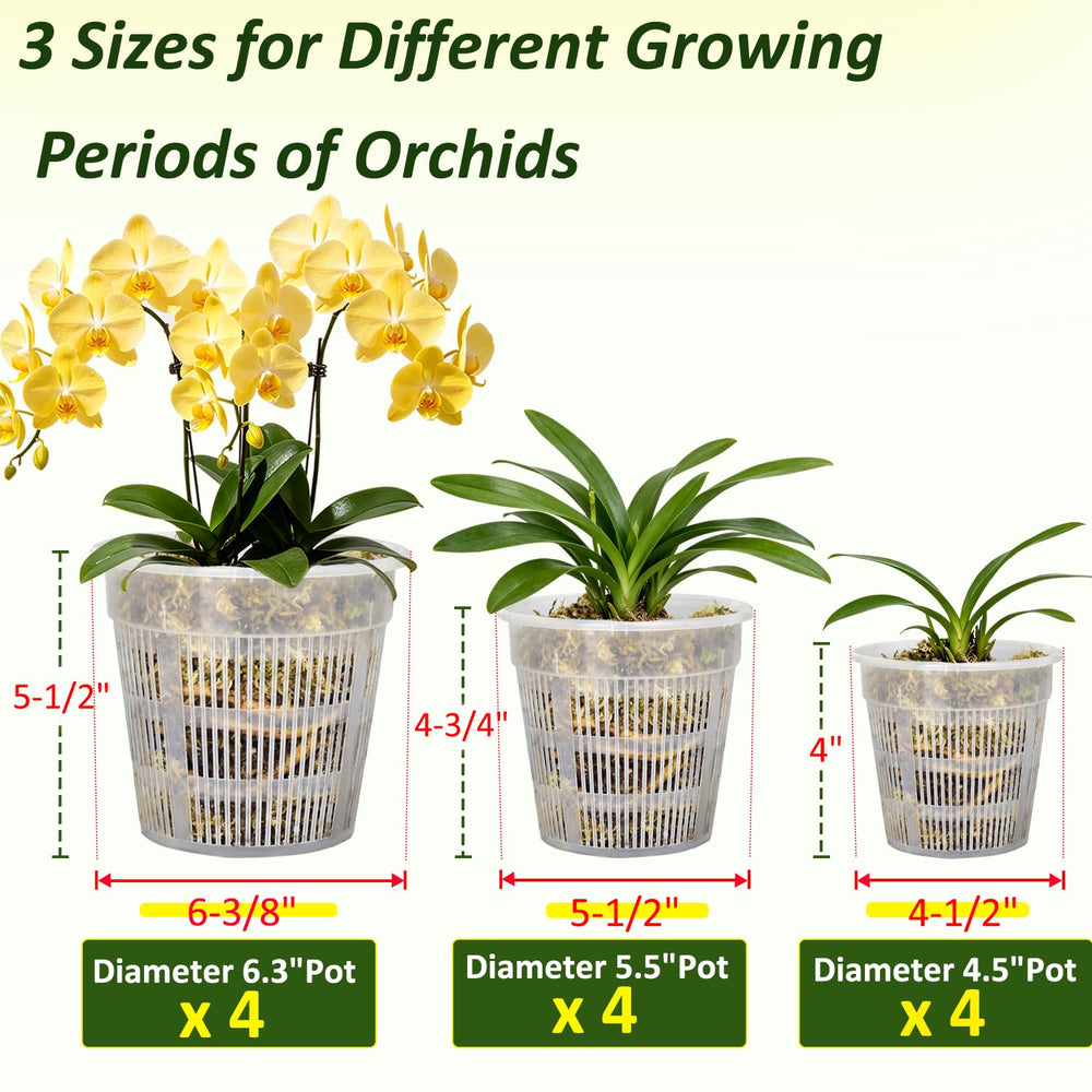 Tialero Orchid Pot 5.5 inch clear pot side view
