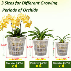 Tialero Orchid Pot 5.5 inch clear pot side view