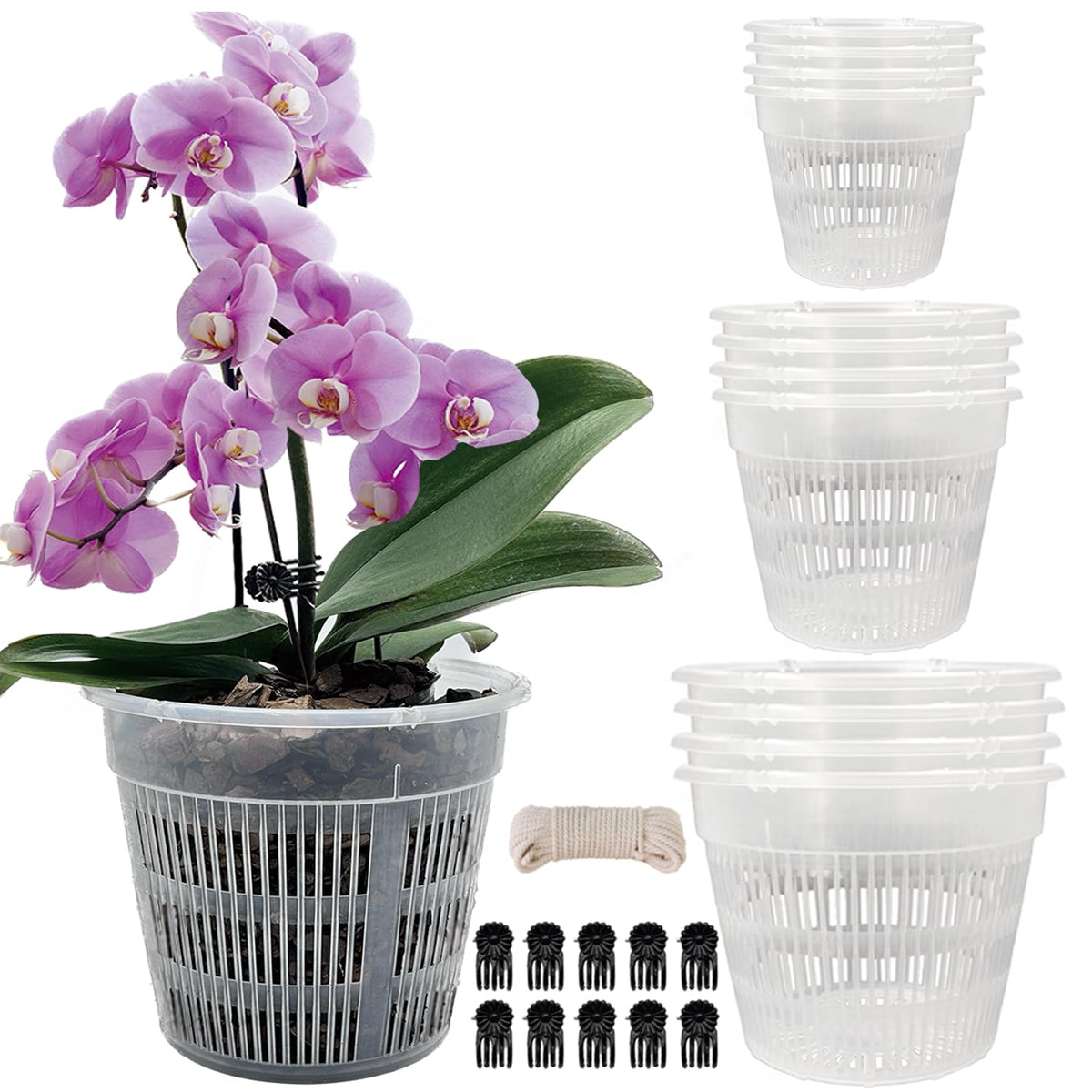Tialero Orchid Pot 6.3 inch clear pot front view
