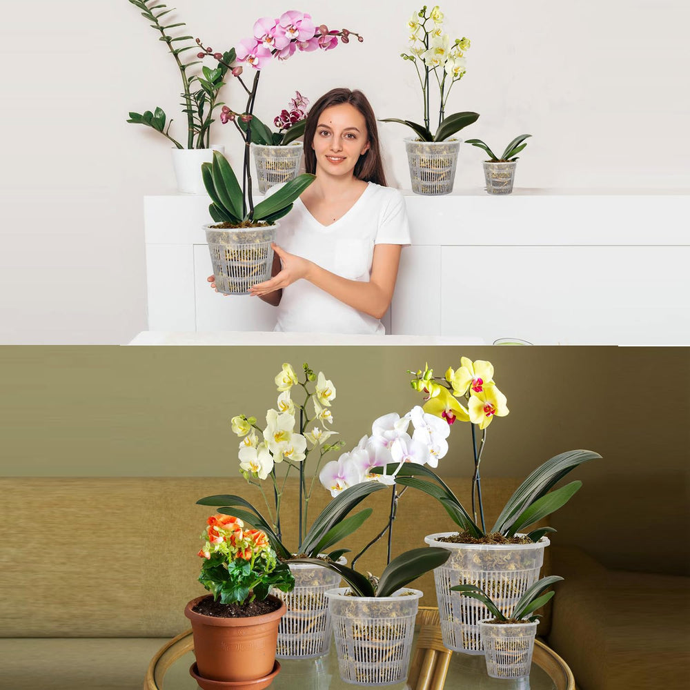 Tialero Orchid Pot dimensions and features display